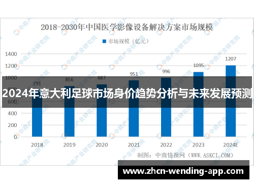 2024年意大利足球市场身价趋势分析与未来发展预测