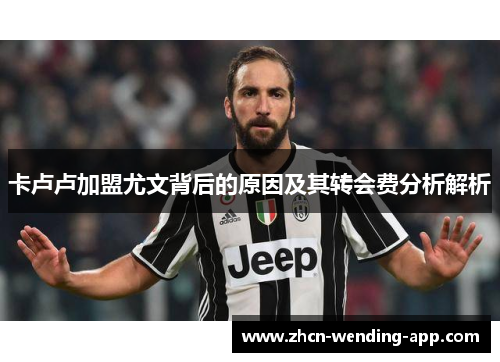 卡卢卢加盟尤文背后的原因及其转会费分析解析
