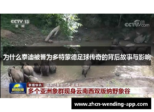 为什么泰迪被誉为多特蒙德足球传奇的背后故事与影响