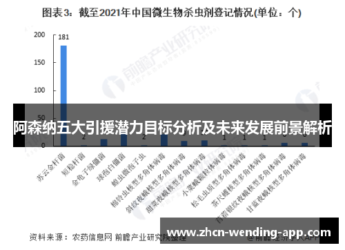 阿森纳五大引援潜力目标分析及未来发展前景解析